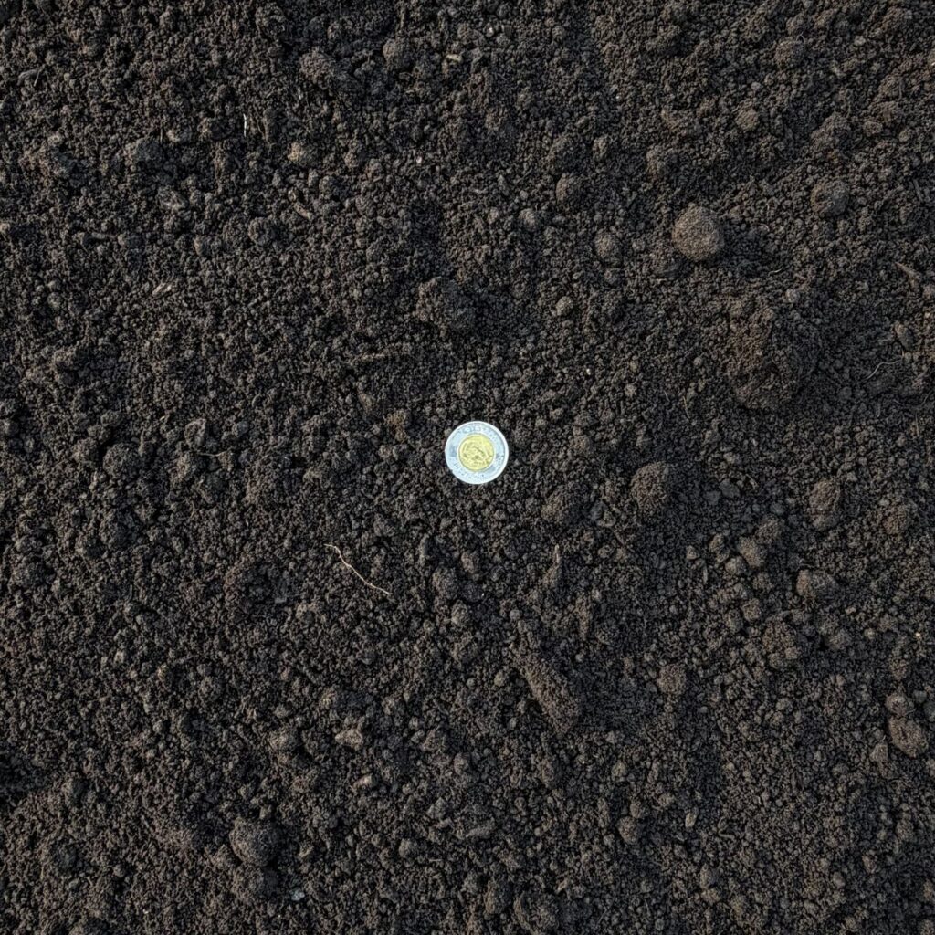 Black Diamond Peat Soil
