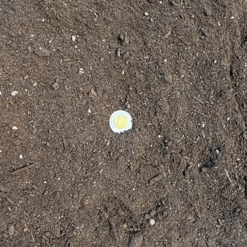 Potting Soil